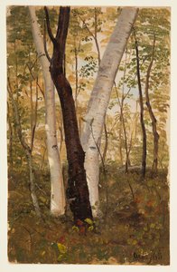 In het Bos, Hudson, New York