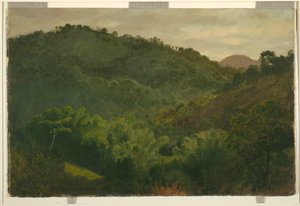 Landschap uit Jamaica door Frederic Edwin Church