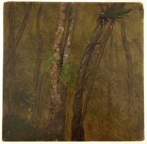 Landschap in Jamaica door Frederic Edwin Church