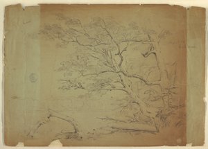 Landschap met bomen en een stroom [?], Grand Manan Island, Canada door Frederic Edwin Church