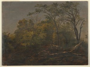 Maine Woods door Frederic Edwin Church