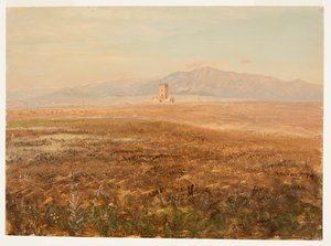 Mexicaans landschap