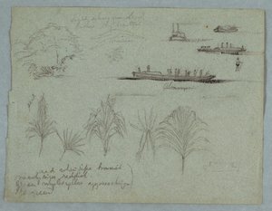 Schetsen van de Rio Magdalena, Colombia: Planten, stoomboot en een Champan door Frederic Edwin Church