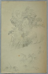 Studies van bomen en takken, Jamaica door Frederic Edwin Church