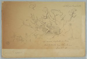 Studies van bomen en rotsen, weg naar Mocho nabij Chimborazo, Ecuador door Frederic Edwin Church
