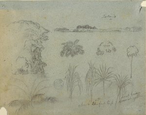 Studie met boomtoppen, bomen, vijf ontwerpen van planten en een ver eiland door Frederic Edwin Church