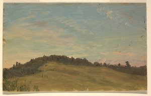 Zomerlandschap