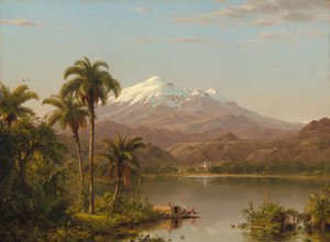 Tamaca Palmen, 1854