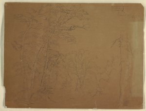 Bomen, Grand Manan Island, Canada door Frederic Edwin Church