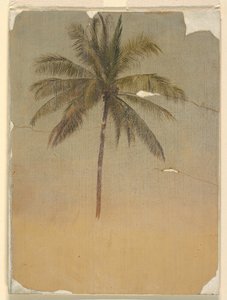 Stam en top van een palmboom door Frederic Edwin Church
