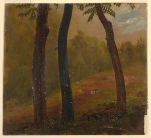 Boslandschap, Jamaica door Frederic Edwin Church