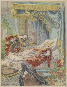 Doornroosje