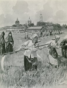Een klooster in Novgorod: nonnen maken hooi