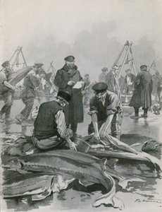 Kaviaar halen in Astrachan door Frederic de Haenen