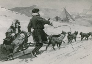 Samojeden