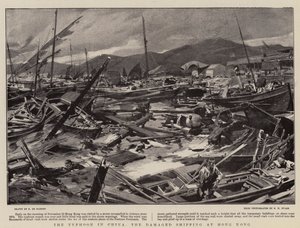 De Tyfoon in China, de Beschadigde Schepen in Hong Kong