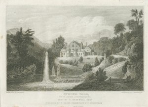 Stone - Spring Vale door Frederick Calvert