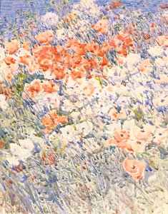 De Eilandtuin