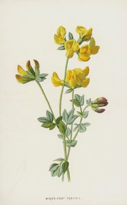 Rolklaver door Frederick Edward Hulme