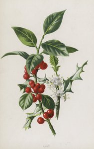 Hulst door Frederick Edward Hulme