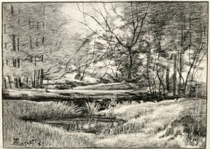 Vijver in de Adirondacks
