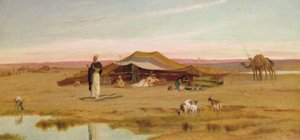 Het Avondgebed van de Sheikh