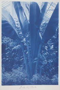 Zonder titel, 10 december