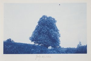 Zonder titel, 19 juli