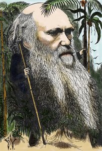 Charles Darwin (1809-1882) karikatuur van F. Waddy in 