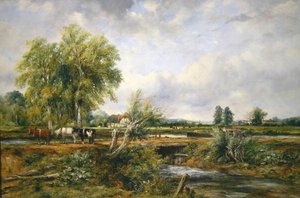 Pastoraal landschap