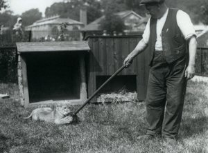 Een leeuwenwelp speelt met een dweil, vastgehouden door zijn verzorger, op het gras voor zijn verblijf, London Zoo, september 1925