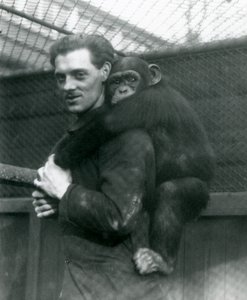 Een man draagt Chimpansee Sally op zijn rug, London Zoo, 1924