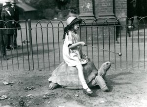 Een klein meisje, Betty, houdt een stok met een appel om de Reuzenschildpad te leiden waarop ze rijdt, London Zoo, 1924