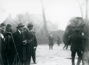 Een Indiase Olifant, mogelijk Sundermalah, tijdens een buitenuitzending van London Zoo, 1925 door Frederick William Bond