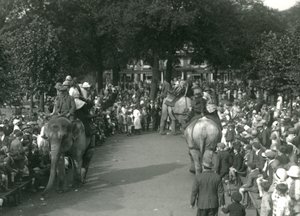 Olifantenritten, met drie Aziatische olifanten bekeken door menigten toeschouwers in London Zoo in augustus 1926 door Frederick William Bond