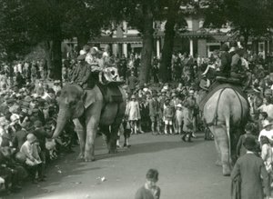 Olifantenritten, met twee Aziatische olifanten bekeken door menigten toeschouwers in London Zoo in augustus 1926 door Frederick William Bond