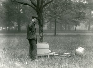 Verzorger Brown verplaatst een zwerm honingbijen, London Zoo, juli 1926 door Frederick William Bond