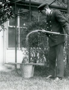 Verzorger Thomas Raggett geeft een Tawny Frogmouth een douche, London Zoo door Frederick William Bond