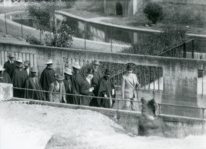 Sir Peter Chalmers Mitchell met Ethiopische Regent Haile Selassie en zijn gevolg, bekijkt een Bruine Beer op de Mappin Terrassen, London Zoo door Frederick William Bond