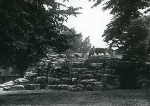 De elandantilopenweide in de Londense dierentuin in juni 1924 door Frederick William Bond