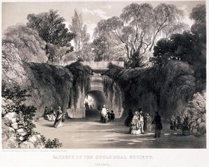 Zoologische tuinen, Regent