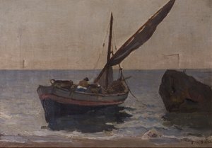 Boten aan de kust