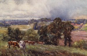 Leamington en Warwick vanaf de Campion Hills door Frederick William Newton Whitehead