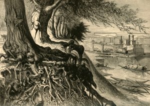 De Savannah, bij Augusta, 1872