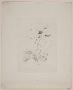 Bloemenmotief