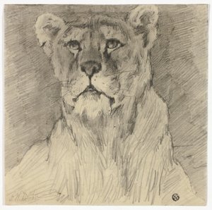 Vooraanzicht van zittende leeuwin