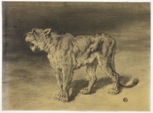 Brullende leeuwin