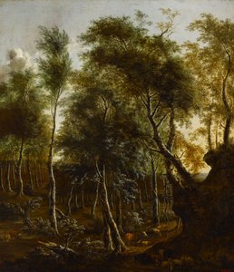 Een bosrijk landschap