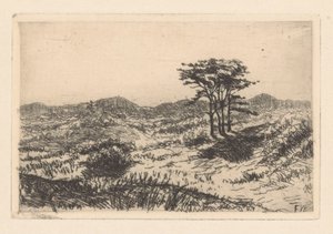 Heuvellandschap met drie dennen