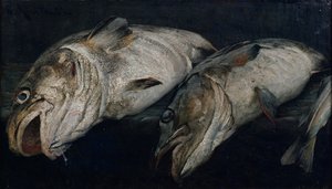 Kabeljauw